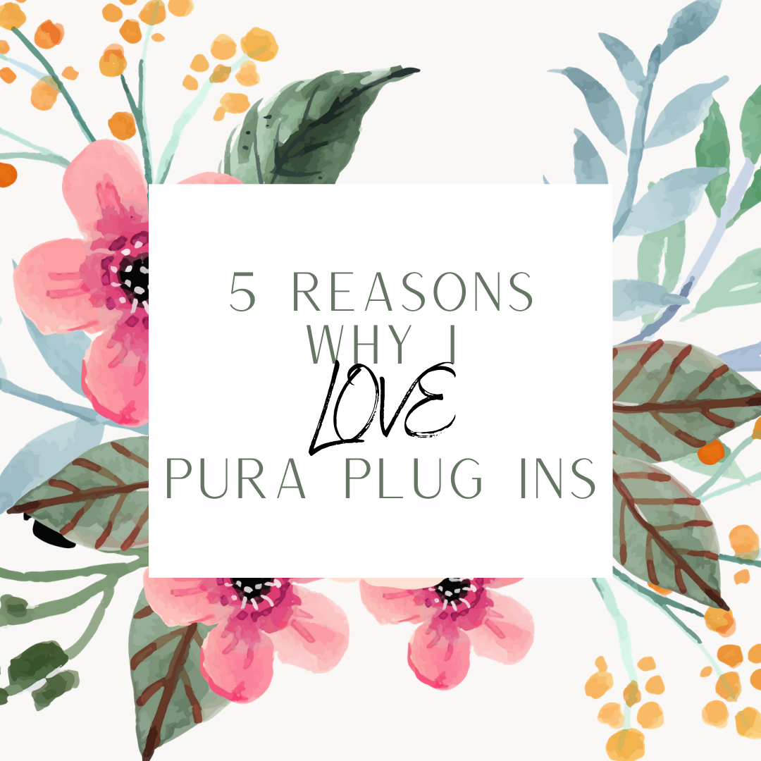 Pura Plug Ins